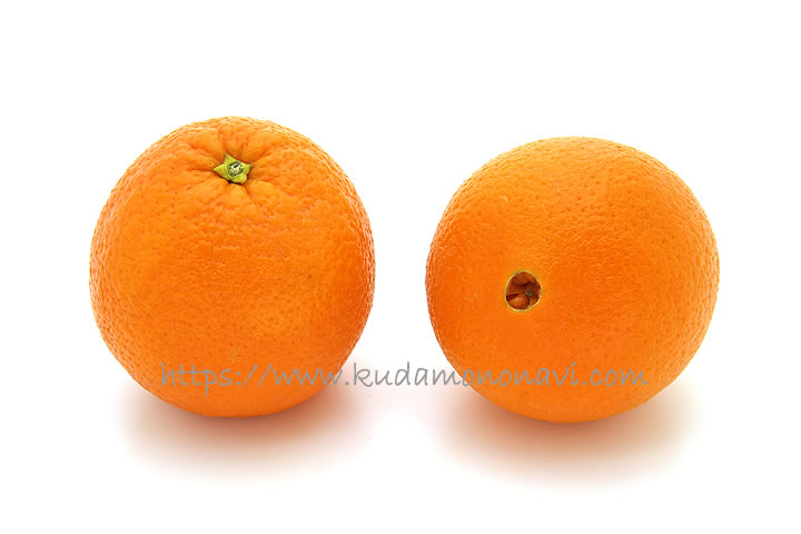 ネーブルオレンジ（アメリカ産）