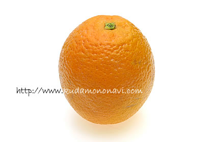 シャムーティオレンジ