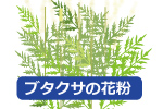 花粉症の人は果物アレルギーなの？