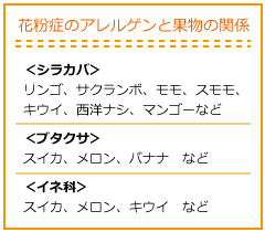 アレルギー 症状 メロン 果物アレルギー～メロンアレルギーの症状、原因、対処法～