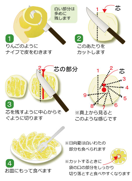 日向夏の食べ方 切り方を知りたい 果物コラム