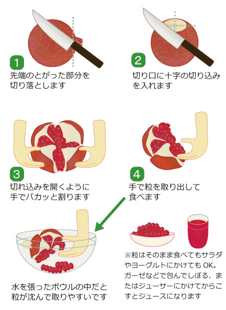 ザクロの食べ方を知りたい 果物コラム