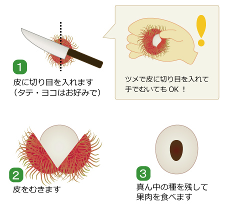 ランブータンの食べ方が知りたい 果物コラム