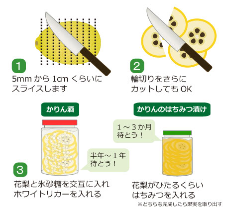 かりん 花梨 の食べ方 活用方法は 果物コラム