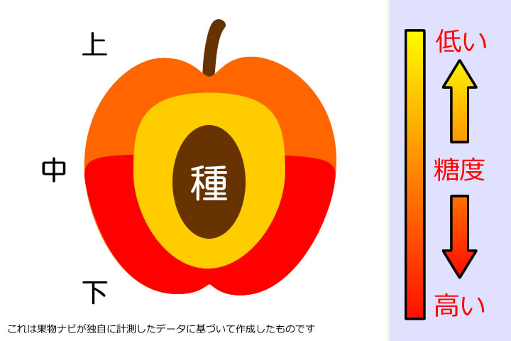 りんごの糖度分布