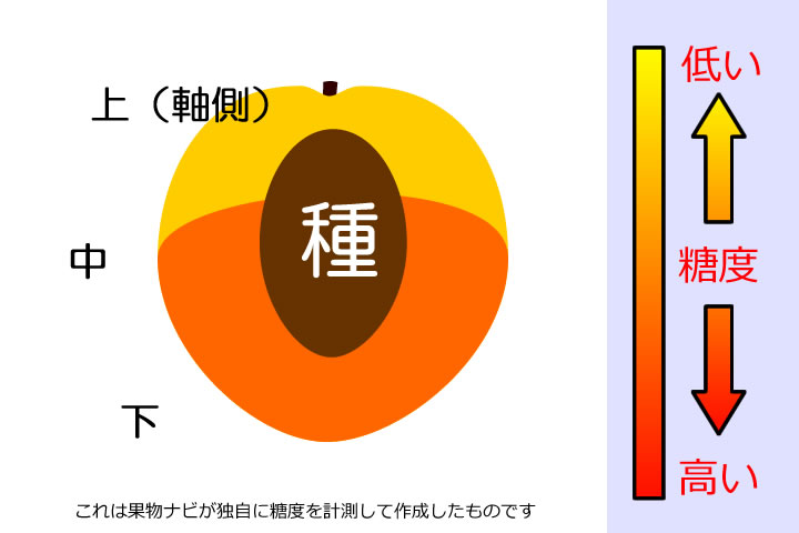 あんずの糖度分布