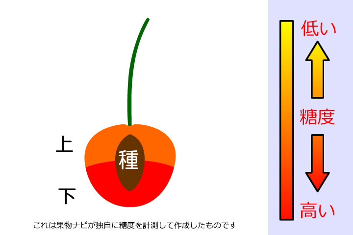 さくらんぼの糖度分布