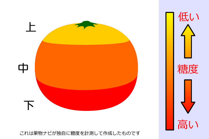 柑橘類の糖度分布