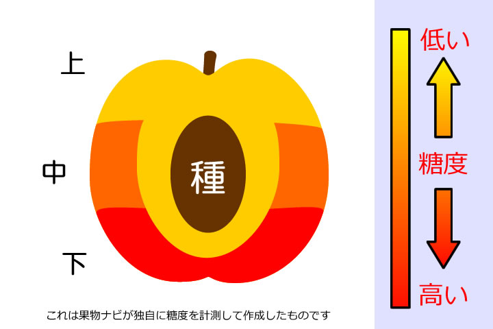梨の糖度分布