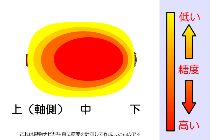 キウイフルーツの糖度分布