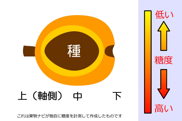 びわの糖度分布