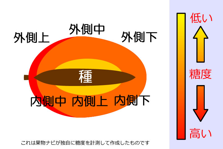 マンゴーの糖度分布