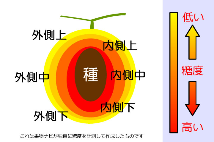 メロンの糖度分布