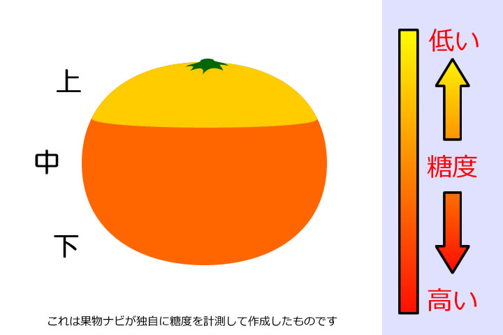 温州みかんの糖度分布