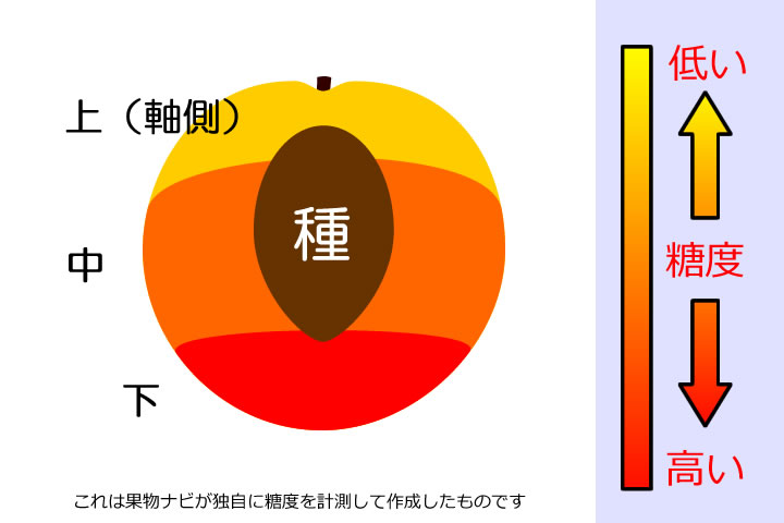 ネクタリンの糖度分布