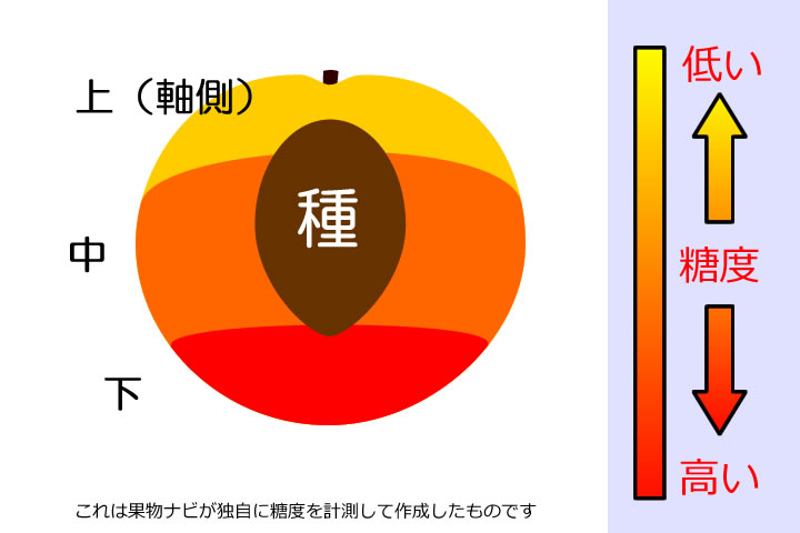 桃の糖度分布