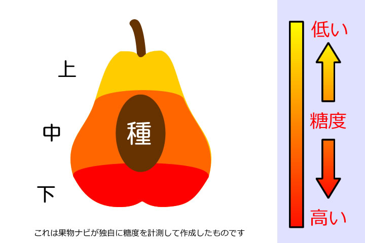 西洋梨の糖度分布