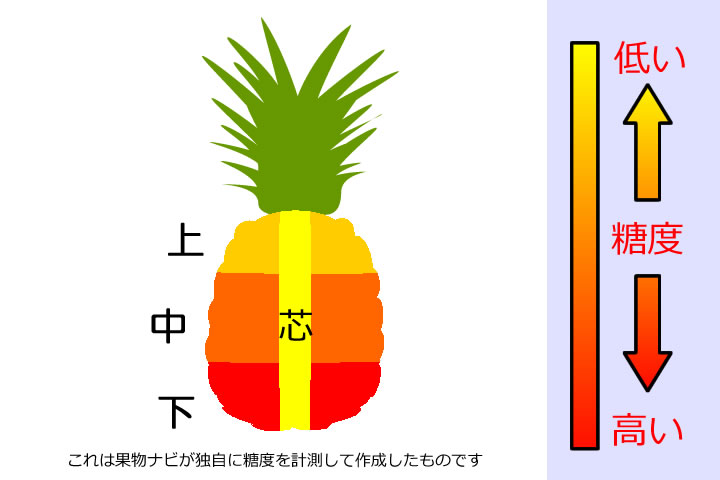 パイナップルの糖度分布