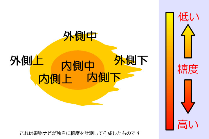 ドラゴンフルーツの糖度分布