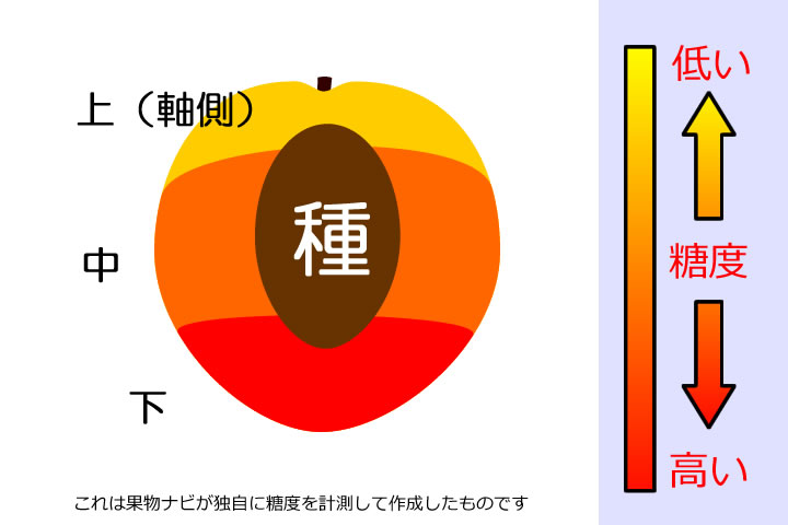 すももの糖度分布