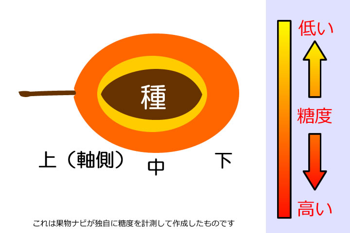 プルーンの糖度分布