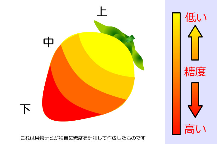 いちごの糖度分布