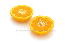 大和橘