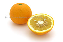 鳴門オレンジ