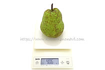 デュセス・ダングレーム