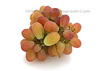 サンシャインレッド