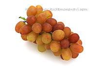 ヌーベルローズ