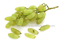 ベージャーガン