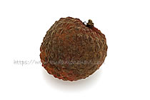 仙進奉（中国産）