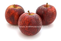 ポピー（ニュージーランド産）