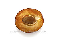 フレンチプルーン