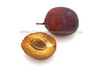 フレンチプルーン