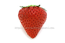 ベリーポップはるひ