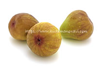 ホワイトイスキア