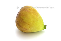 ホワイトイスキア