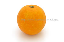 ハムリンオレンジ
