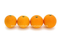 大三島ネーブル