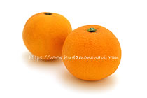 大三島ネーブル