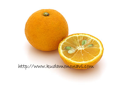 香酸柑橘