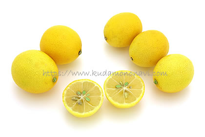 ライムクワット