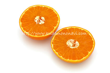 まさき 柑橘 は はまさき（麗紅） カンキツ類