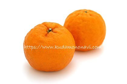 今津ポンカン
