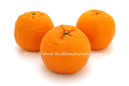 今津ポンカン
