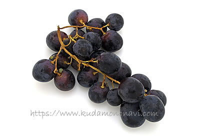 アドーラ・シードレス（オーストラリア産）