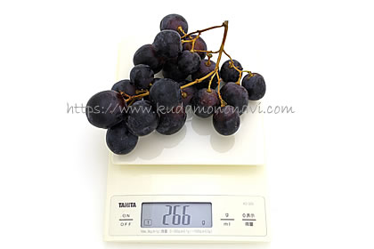 アドーラ・シードレス（オーストラリア産）