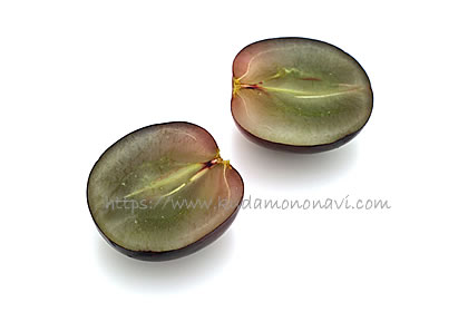 アドーラ・シードレス（オーストラリア産）